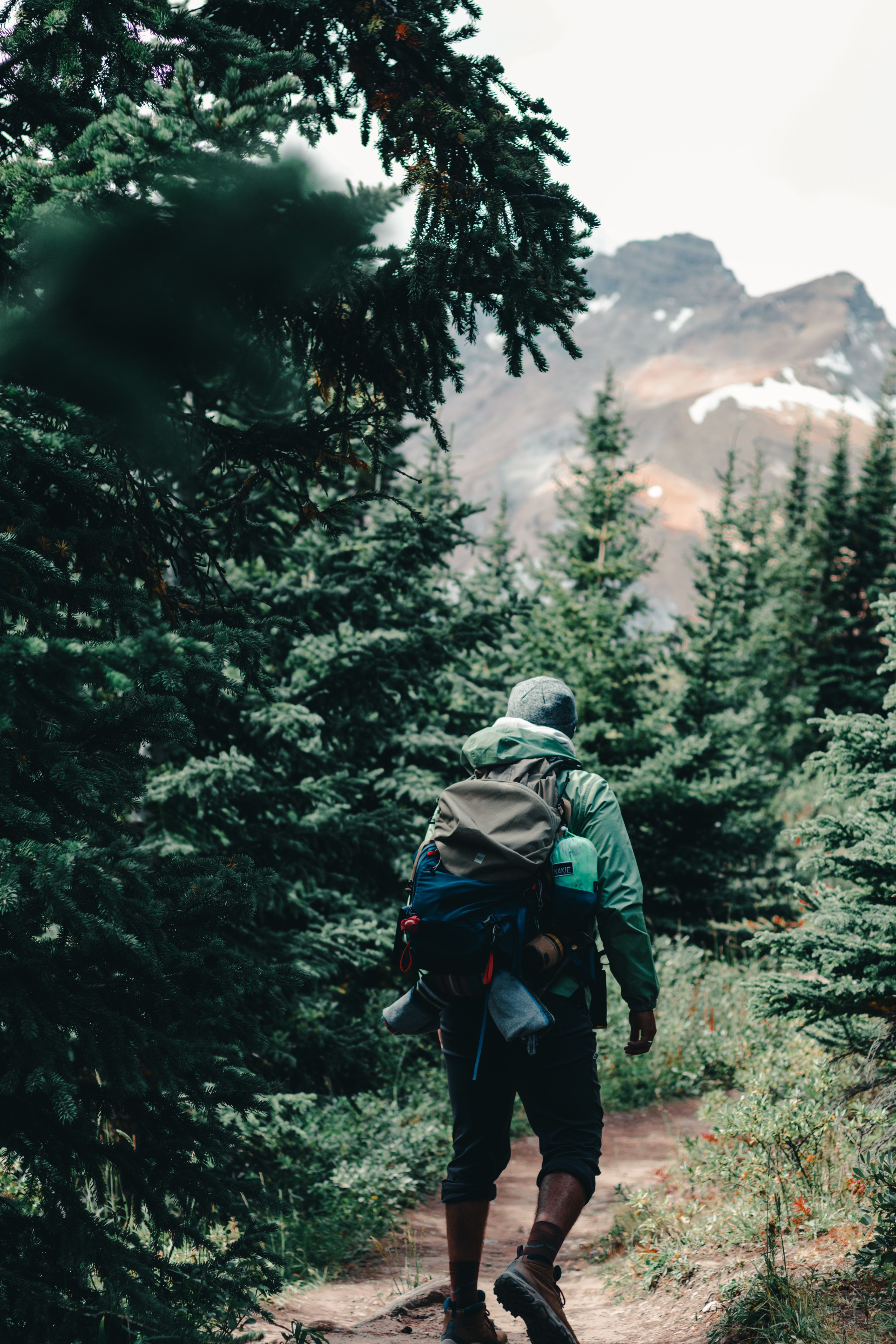 Hikers on a trail